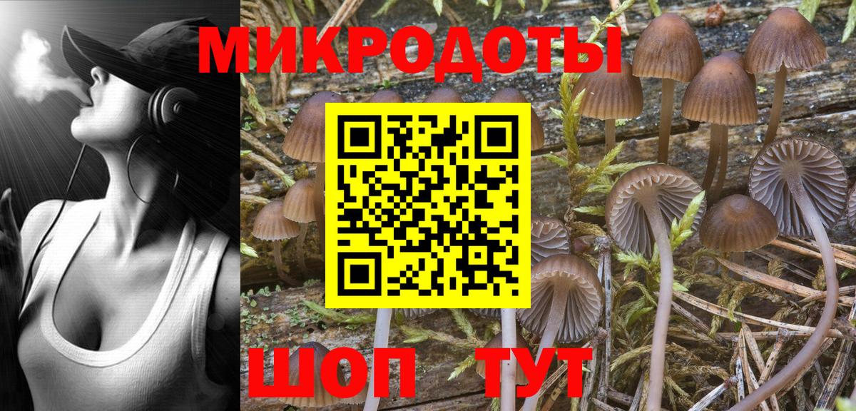 Псилоцибиновые грибы MAGIC MUSHROOMS  Вход с VPN  Зеленокумск 