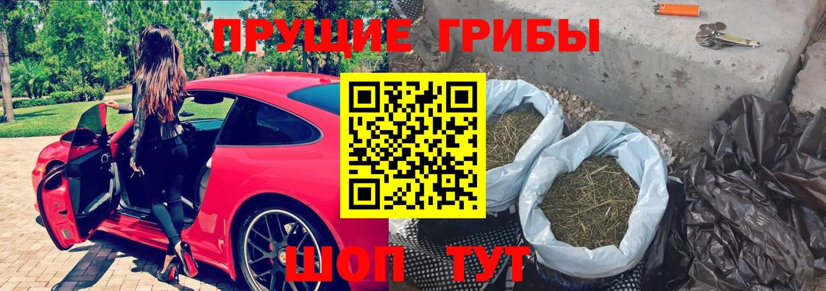 Альфа ПВП Зеленокумск